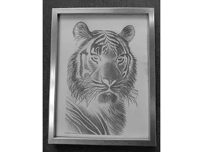Gravur eines Tiger Kopfes 1096