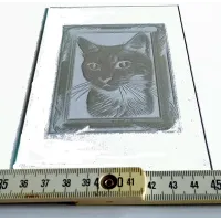 Glasgravur Motiv "Katze" 6001