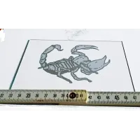 Glasgravur Sternzeichen "Scorpion" 6002