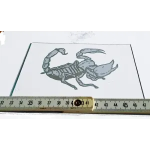 Glasgravur Sternzeichen "Scorpion" 6002 Glasgravur Sternzeichen "Scorpion" 6002